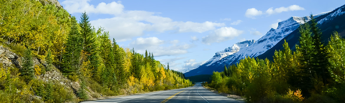 Mountain road, Icefields parkway alberta